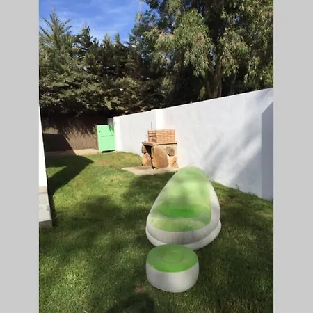 Jacaranda Vejer de la Frontera